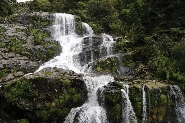 虫虫助手下载